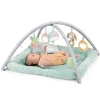 Activity Toys|Ingenuity Calm Springs Plush Activity Gym - Chic Boutique
