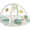 Activity Toys|Skip Hop Garden Oasis Activity Gym
