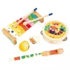 Musical Toys|Janod Gioia Musical Set