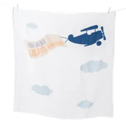 Milestones|Lulujo Milestone Blanket & Cards