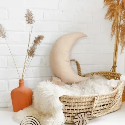 Pillows|The Butter Flying Moon Pillow