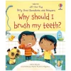 Books|Books|Harper Collins Canada Why Should I Brush My Teeth Flap Book